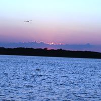 John Dimarco Photo 34