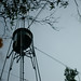 Laura Mcclelland Photo 15