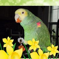 Kelly Green Photo 17