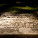 John Pietsch Photo 9