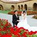 Milton Yee Photo 5