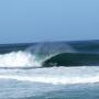 Ted Cook Photo 15