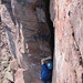 Jenel Farrell Photo 8