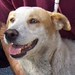 Brandy Foster Photo 40