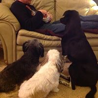 Jill Holley Photo 28
