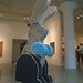 Andrew Lieberman Photo 15