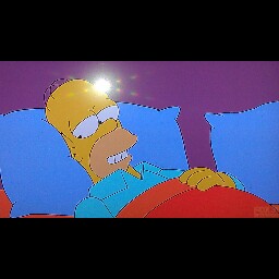 William Stanford Photo 43