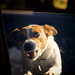Russell Upton Photo 20