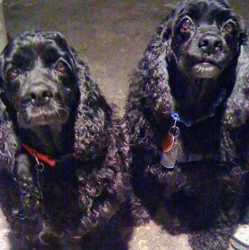 Patricia Valdez Photo 31