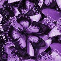 Donna Quick Photo 33