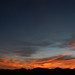 Neil Wiley Photo 22