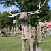 Fred Phillips Photo 34