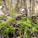 Terry Hawks Photo 10