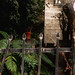 David Witmer Photo 18