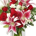 Patricia Bohrer Photo 7