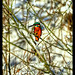 Kim Winters Photo 21