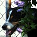 Sharon Link Photo 12