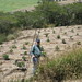 Linda Huerta Photo 19