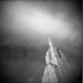 Joseph Workman Photo 35