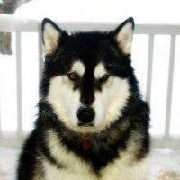 Debra Hilger Photo 2