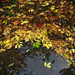Man Cheng Photo 17