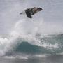 Matt Mccabe Photo 25