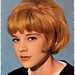 Johnny Spitzer Photo 13