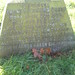 Thomas Green Photo 13