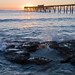 Catherine Warf Photo 3