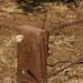 Teresa Olive Photo 9