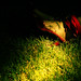 Diane Lay Photo 18