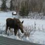 Colleen Cavanaugh Photo 31