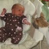 Elizabeth Gill Photo 8