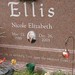 Nicole Ellis Photo 13