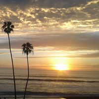 Terrie Cook Photo 15