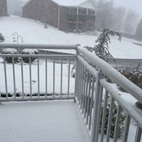 Susan Greene Photo 35
