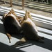 Bobbie Bain Photo 10