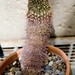 Dick Sharp Photo 8