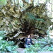 Arlene Root Photo 6