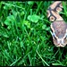 Gerald Thomas Photo 28