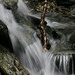 Brook Adams Photo 19