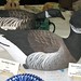 Ron Gruber Photo 17
