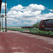 Fe Seligman Photo 10