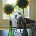Michele Ballard Photo 27
