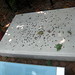 Betsy Richardson Photo 37
