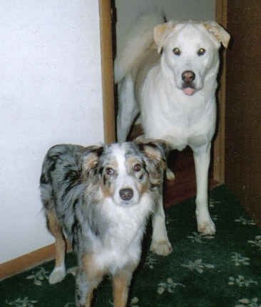 Sally Lowe Photo 38