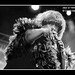Eddie Burt Photo 17