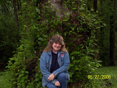 Diane Allison Photo 36