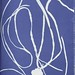 Anna Atkins Photo 8
