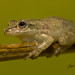 Jose Zarate Photo 32